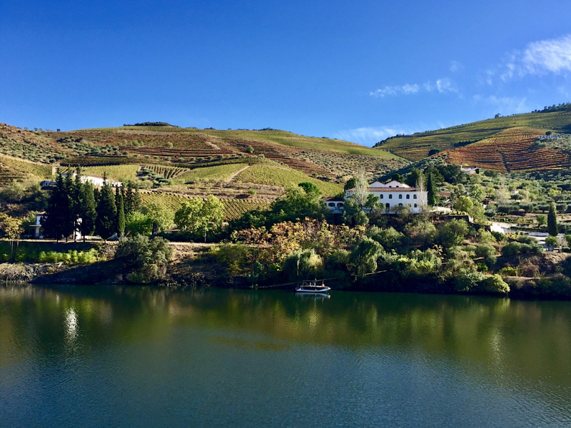 Круиз по Дору на Emerald Radiance и чуть-чуть северной Португалии, октябрь 2018