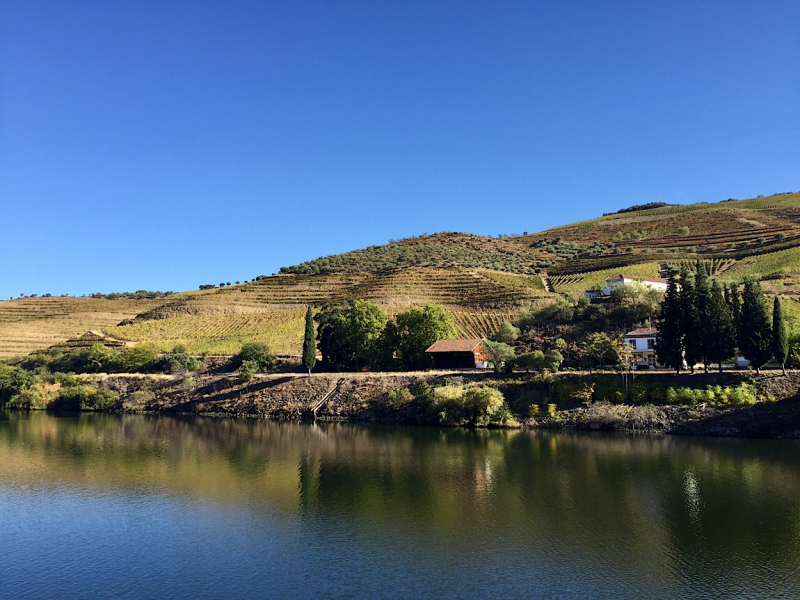 Круиз по Дору на Emerald Radiance и чуть-чуть северной Португалии, октябрь 2018