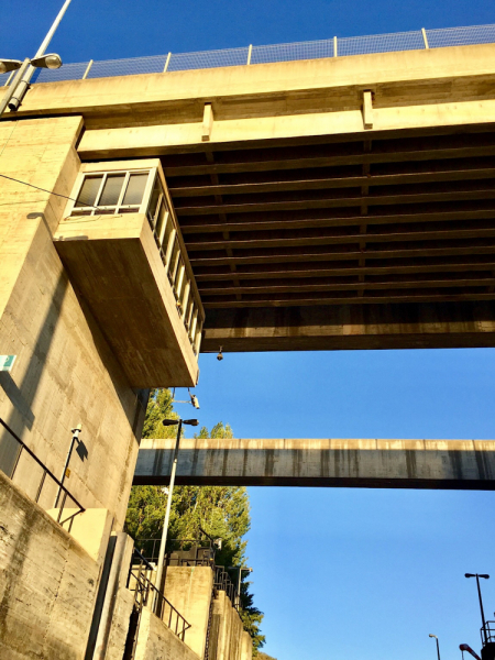 Круиз по Дору на Emerald Radiance и чуть-чуть северной Португалии, октябрь 2018