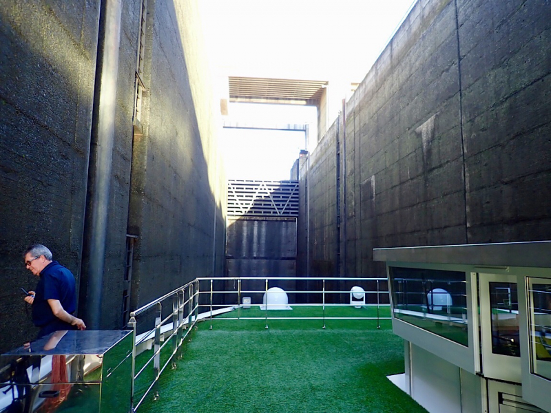 Круиз по Дору на Emerald Radiance и чуть-чуть северной Португалии, октябрь 2018