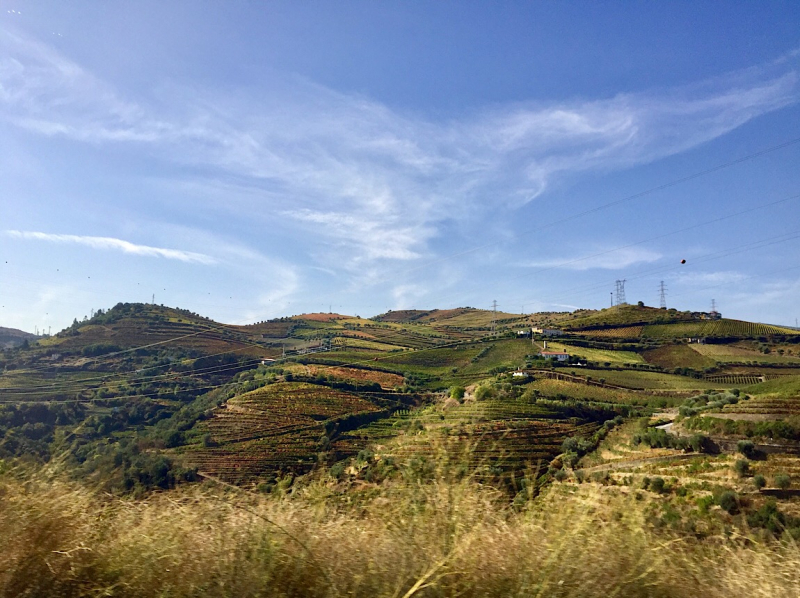 Круиз по Дору на Emerald Radiance и чуть-чуть северной Португалии, октябрь 2018