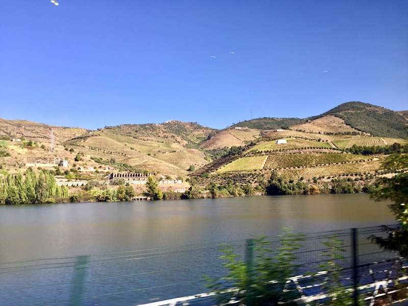 Круиз по Дору на Emerald Radiance и чуть-чуть северной Португалии, октябрь 2018