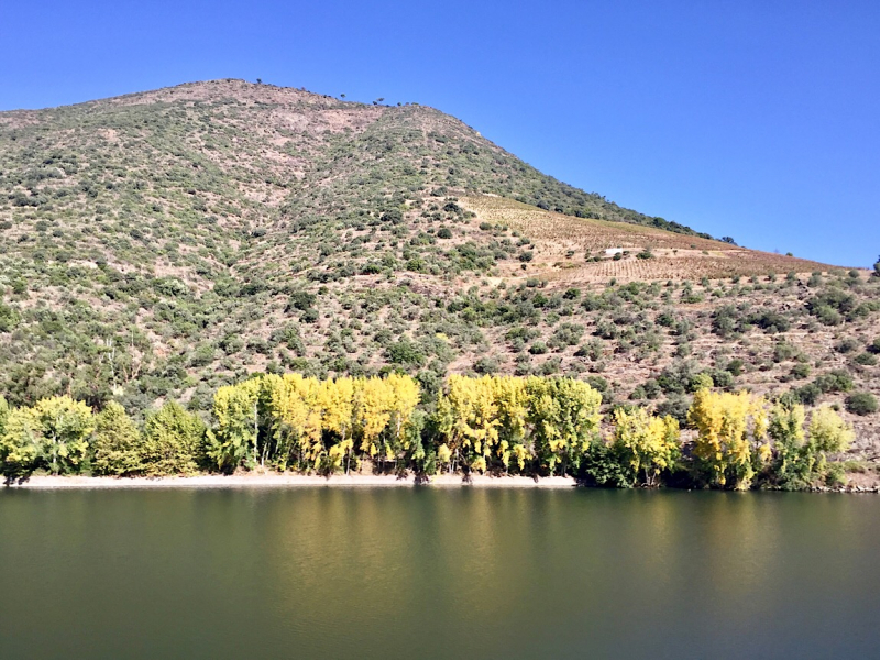 Круиз по Дору на Emerald Radiance и чуть-чуть северной Португалии, октябрь 2018