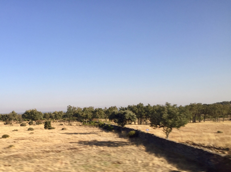 Круиз по Дору на Emerald Radiance и чуть-чуть северной Португалии, октябрь 2018