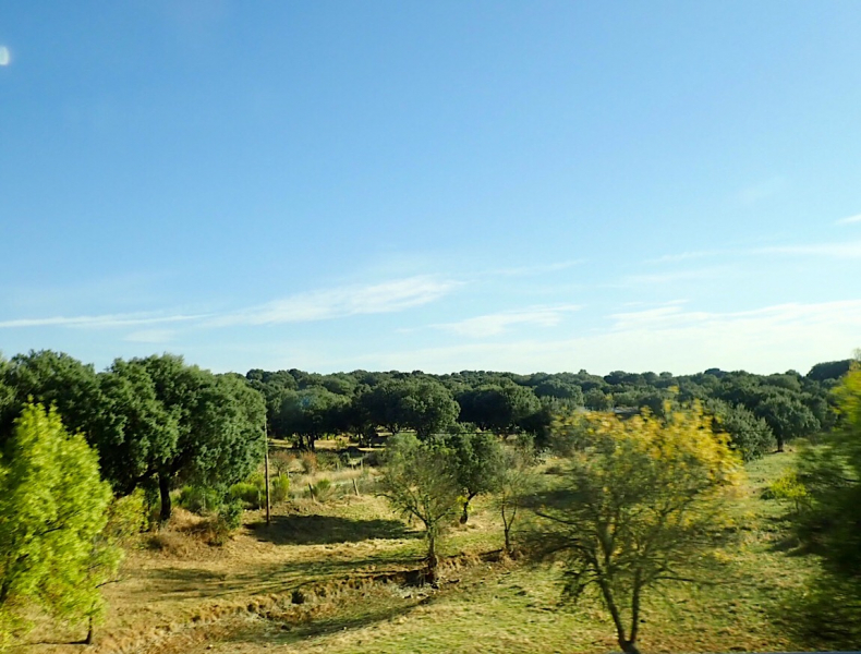 Круиз по Дору на Emerald Radiance и чуть-чуть северной Португалии, октябрь 2018