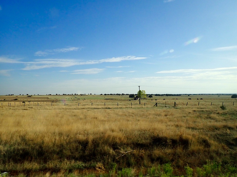 Круиз по Дору на Emerald Radiance и чуть-чуть северной Португалии, октябрь 2018