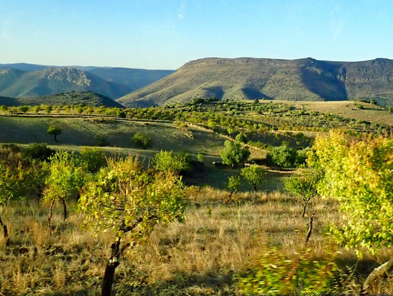 Круиз по Дору на Emerald Radiance и чуть-чуть северной Португалии, октябрь 2018