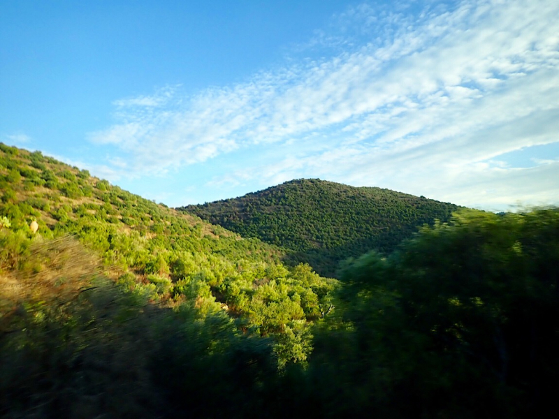 Круиз по Дору на Emerald Radiance и чуть-чуть северной Португалии, октябрь 2018