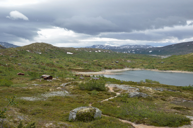 Созерцательное путешествие по западной Норвегии в июне 2018