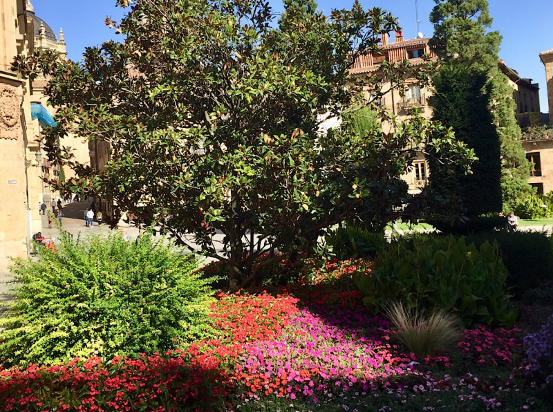 Круиз по Дору на Emerald Radiance и чуть-чуть северной Португалии, октябрь 2018