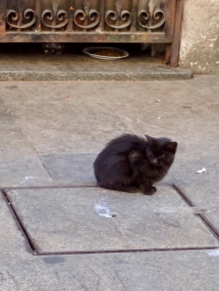 Круиз по Дору на Emerald Radiance и чуть-чуть северной Португалии, октябрь 2018