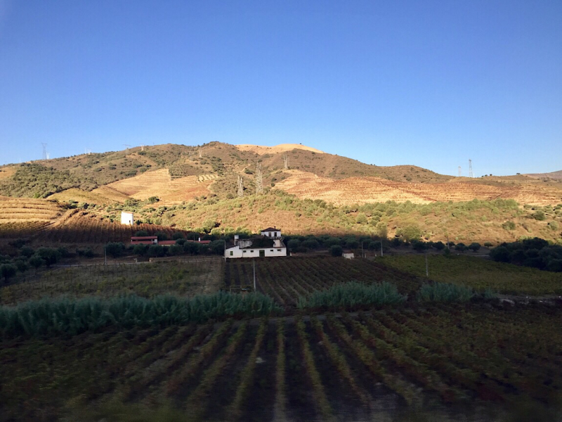 Круиз по Дору на Emerald Radiance и чуть-чуть северной Португалии, октябрь 2018