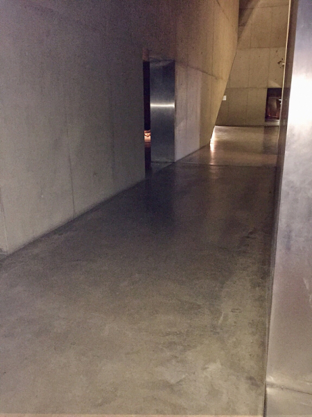 Круиз по Дору на Emerald Radiance и чуть-чуть северной Португалии, октябрь 2018