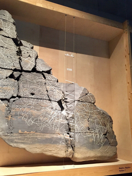 Круиз по Дору на Emerald Radiance и чуть-чуть северной Португалии, октябрь 2018