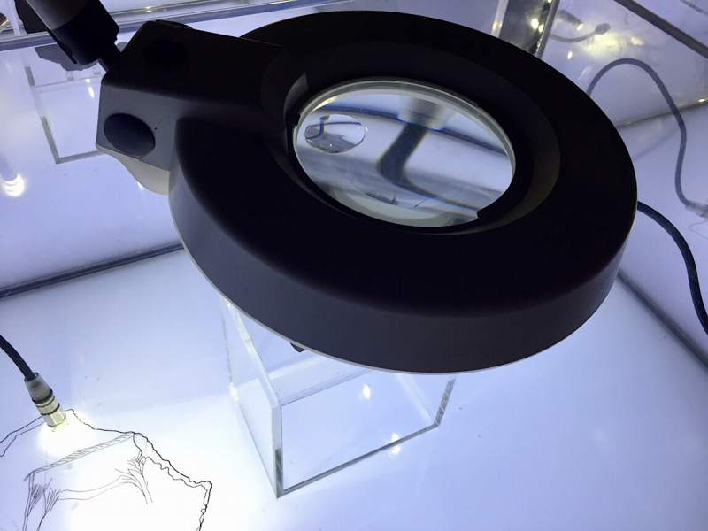 Круиз по Дору на Emerald Radiance и чуть-чуть северной Португалии, октябрь 2018