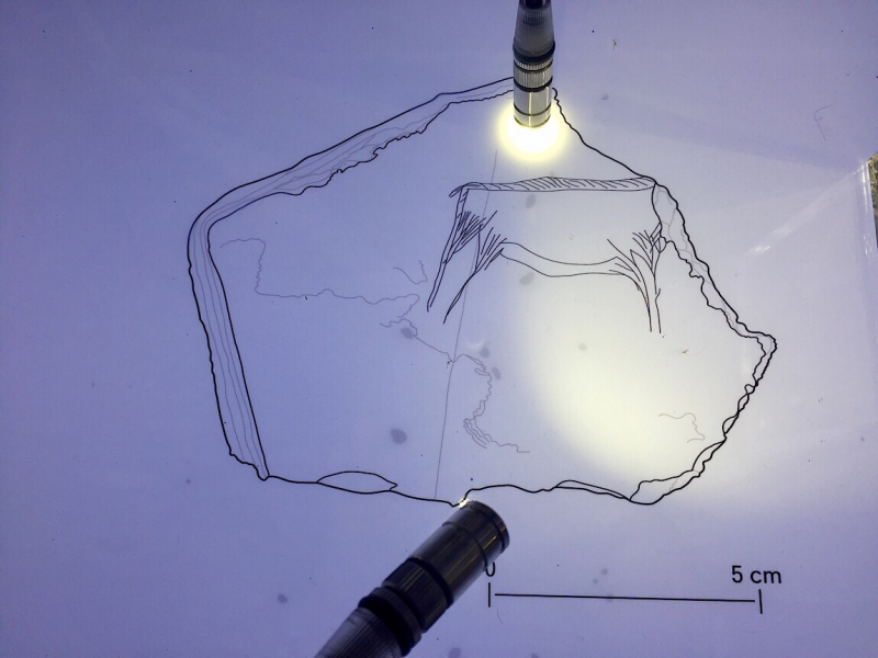 Круиз по Дору на Emerald Radiance и чуть-чуть северной Португалии, октябрь 2018