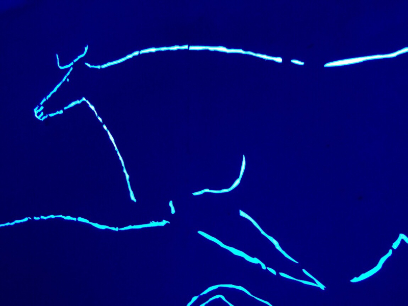 Круиз по Дору на Emerald Radiance и чуть-чуть северной Португалии, октябрь 2018