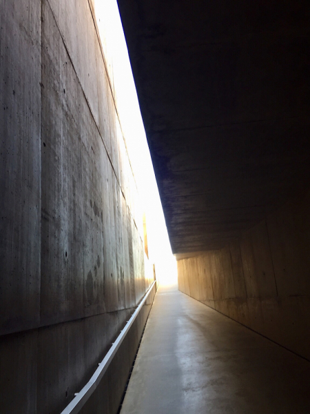 Круиз по Дору на Emerald Radiance и чуть-чуть северной Португалии, октябрь 2018