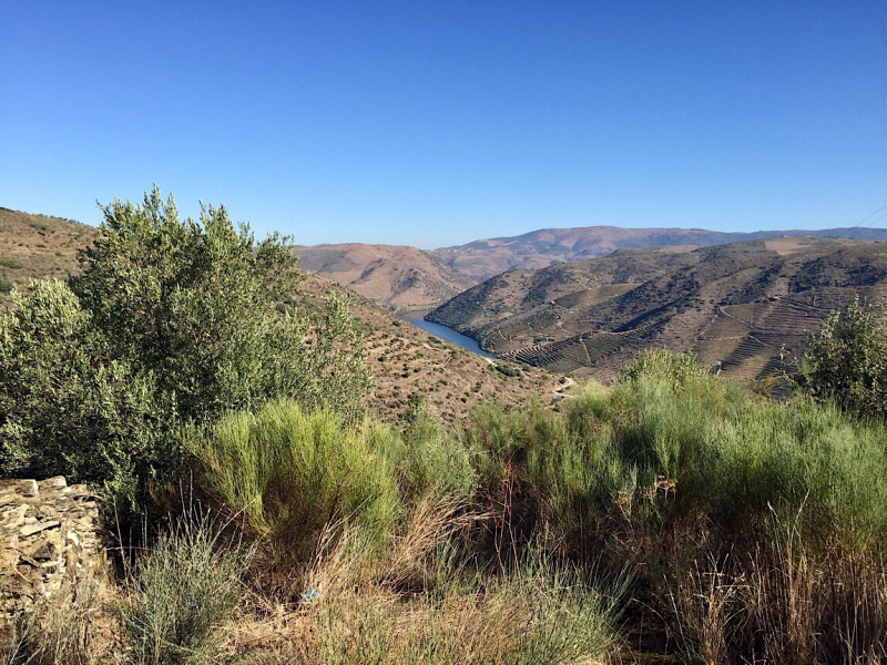 Круиз по Дору на Emerald Radiance и чуть-чуть северной Португалии, октябрь 2018