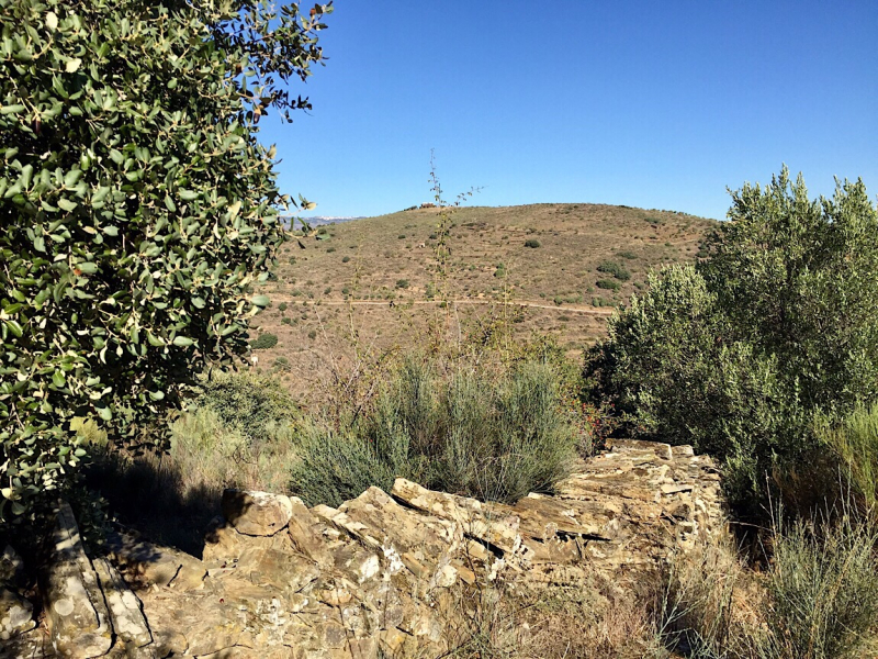 Круиз по Дору на Emerald Radiance и чуть-чуть северной Португалии, октябрь 2018