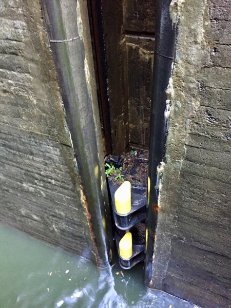 Круиз по Дору на Emerald Radiance и чуть-чуть северной Португалии, октябрь 2018