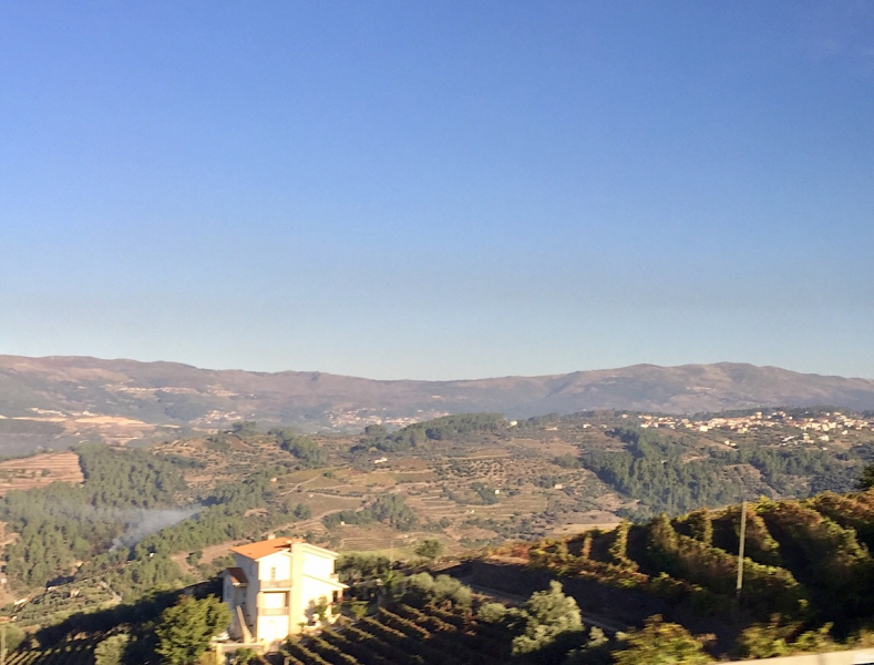 Круиз по Дору на Emerald Radiance и чуть-чуть северной Португалии, октябрь 2018