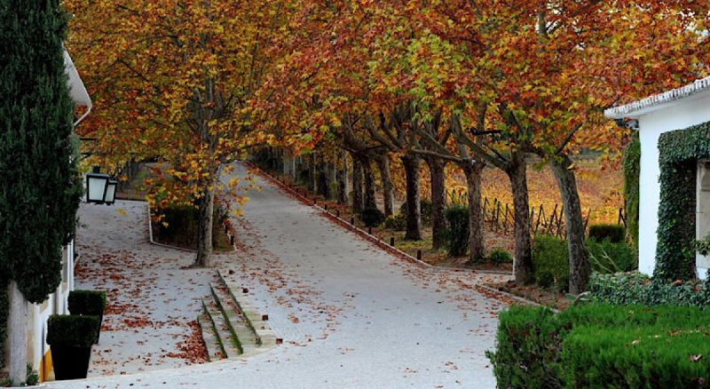 Круиз по Дору на Emerald Radiance и чуть-чуть северной Португалии, октябрь 2018