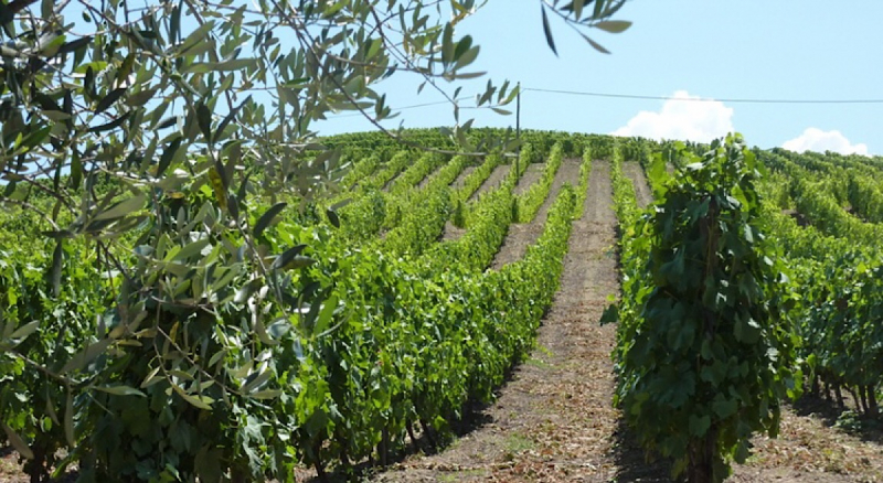 Круиз по Дору на Emerald Radiance и чуть-чуть северной Португалии, октябрь 2018