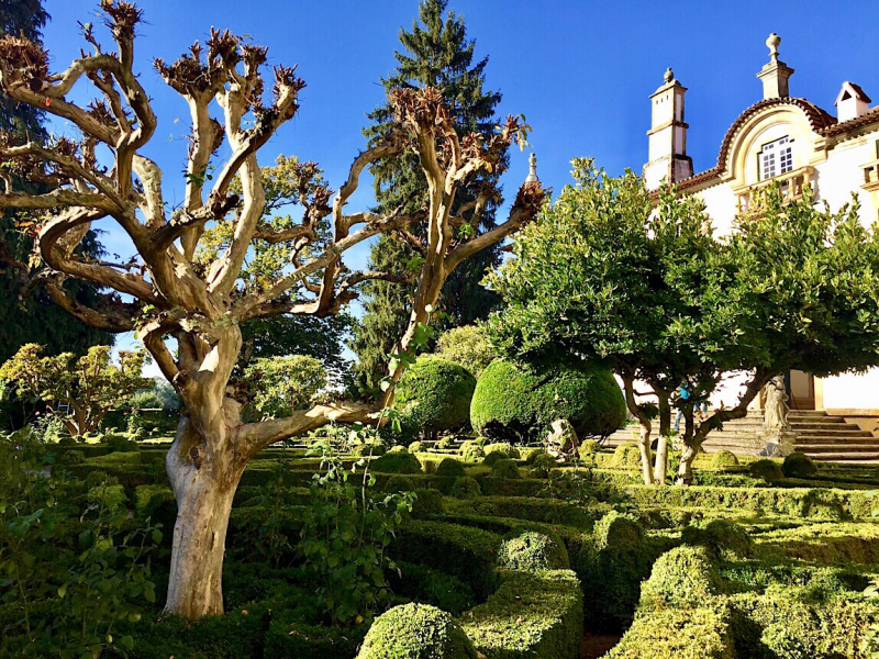 Круиз по Дору на Emerald Radiance и чуть-чуть северной Португалии, октябрь 2018