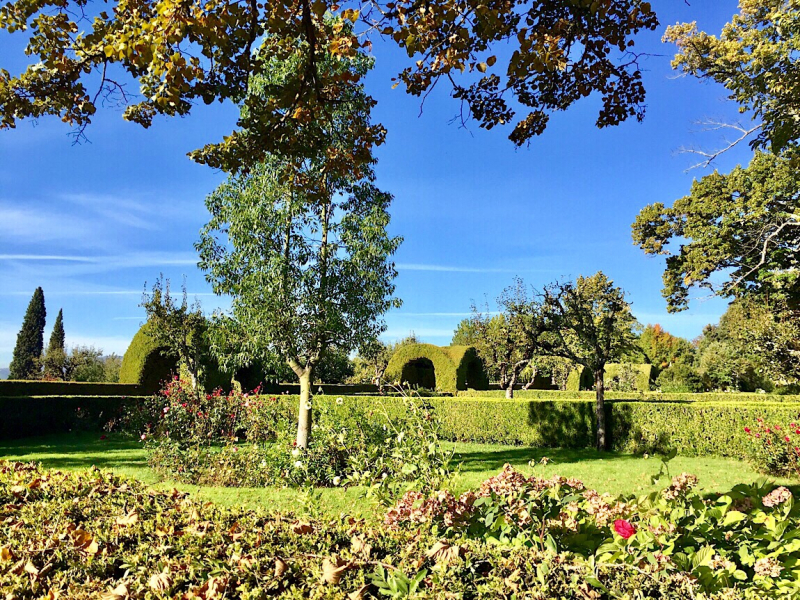 Круиз по Дору на Emerald Radiance и чуть-чуть северной Португалии, октябрь 2018