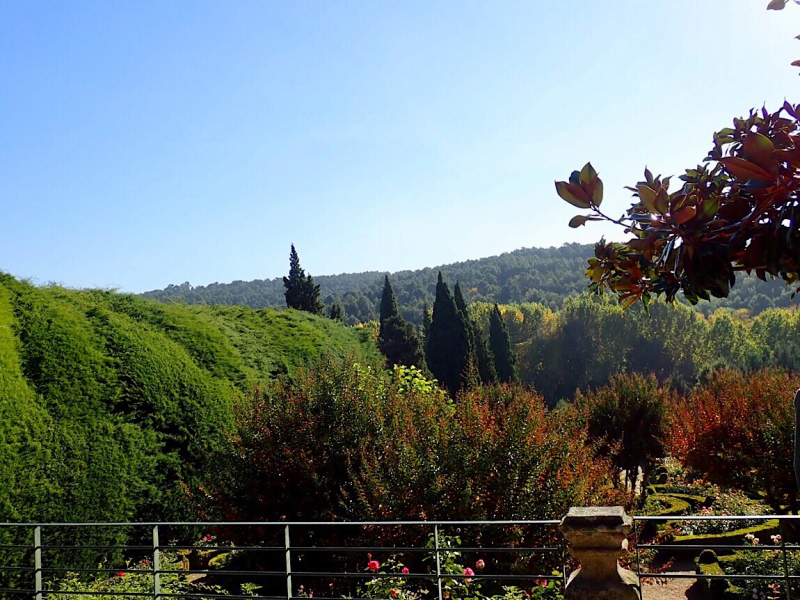 Круиз по Дору на Emerald Radiance и чуть-чуть северной Португалии, октябрь 2018