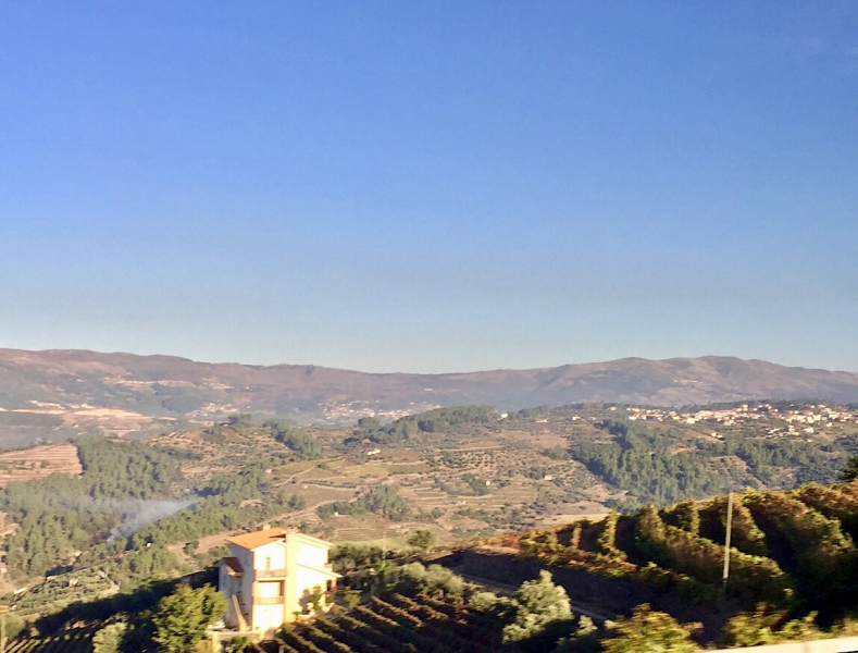 Круиз по Дору на Emerald Radiance и чуть-чуть северной Португалии, октябрь 2018