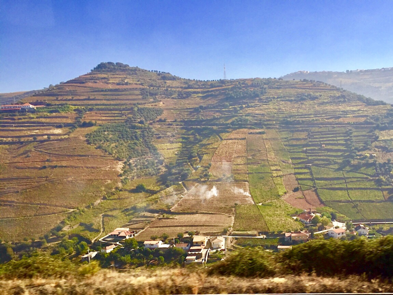 Круиз по Дору на Emerald Radiance и чуть-чуть северной Португалии, октябрь 2018