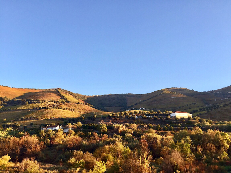 Круиз по Дору на Emerald Radiance и чуть-чуть северной Португалии, октябрь 2018