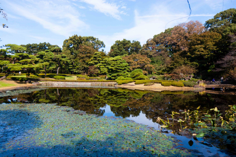 Tokyo, Shirakawa-go, Kanazawa, Matsumoto, Kyoto, Koyasan, Heda в конце октября 2018