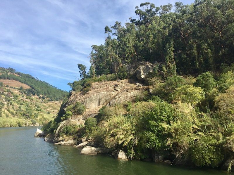 Круиз по Дору на Emerald Radiance и чуть-чуть северной Португалии, октябрь 2018