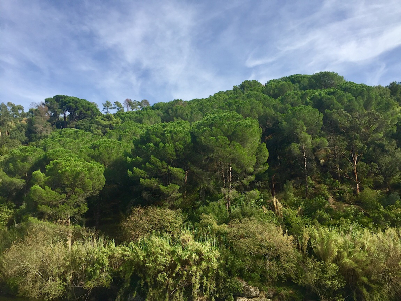 Круиз по Дору на Emerald Radiance и чуть-чуть северной Португалии, октябрь 2018