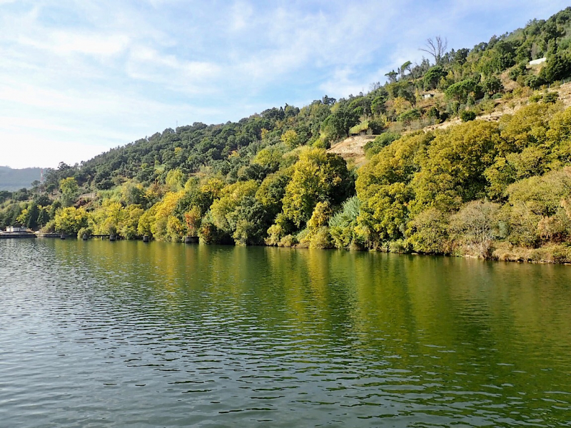 Круиз по Дору на Emerald Radiance и чуть-чуть северной Португалии, октябрь 2018