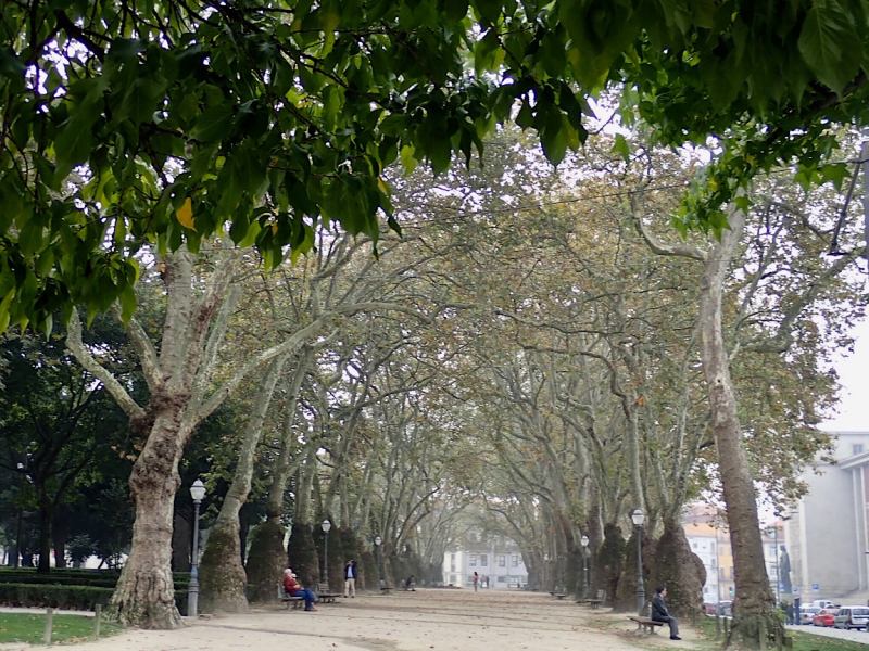 Круиз по Дору на Emerald Radiance и чуть-чуть северной Португалии, октябрь 2018