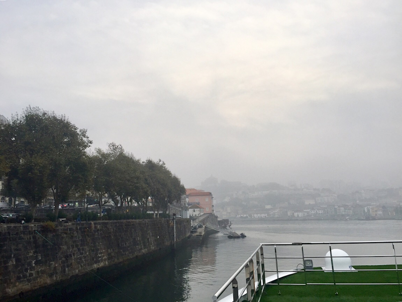 Круиз по Дору на Emerald Radiance и чуть-чуть северной Португалии, октябрь 2018