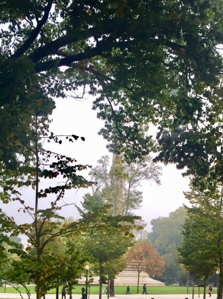 Круиз по Дору на Emerald Radiance и чуть-чуть северной Португалии, октябрь 2018