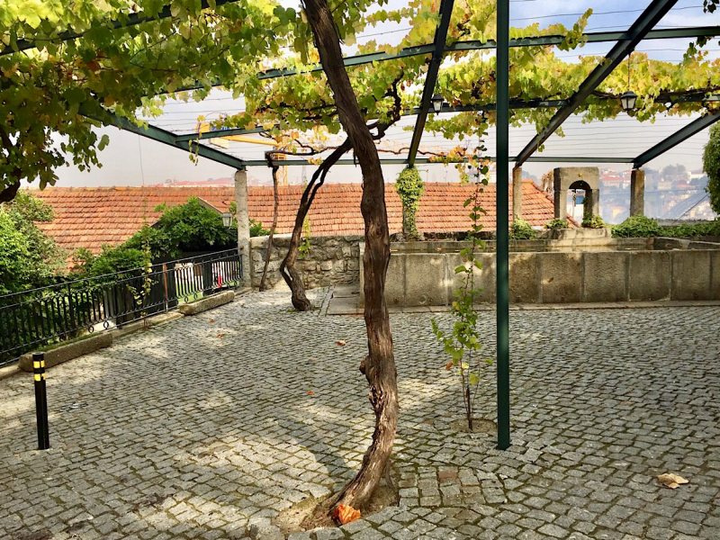 Круиз по Дору на Emerald Radiance и чуть-чуть северной Португалии, октябрь 2018