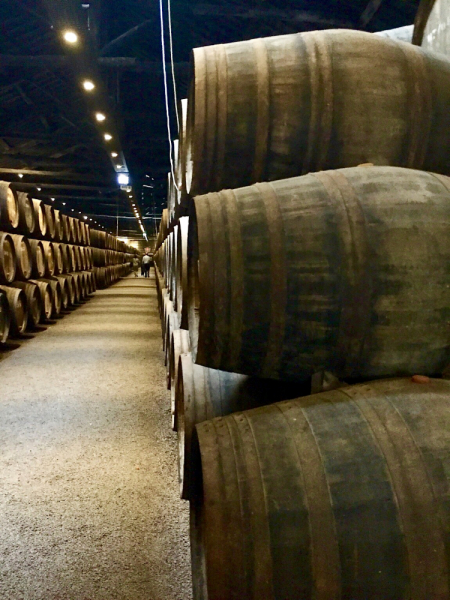 Круиз по Дору на Emerald Radiance и чуть-чуть северной Португалии, октябрь 2018