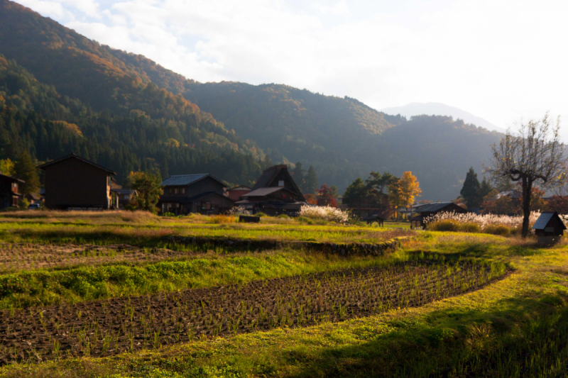 Tokyo, Shirakawa-go, Kanazawa, Matsumoto, Kyoto, Koyasan, Heda в конце октября 2018