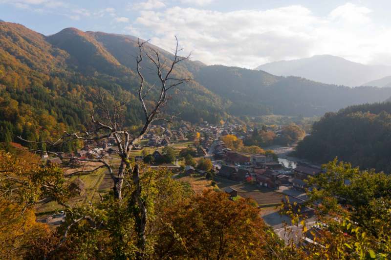 Tokyo, Shirakawa-go, Kanazawa, Matsumoto, Kyoto, Koyasan, Heda в конце октября 2018