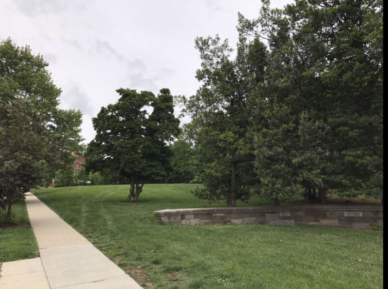 Большие города . Запад и Восток США