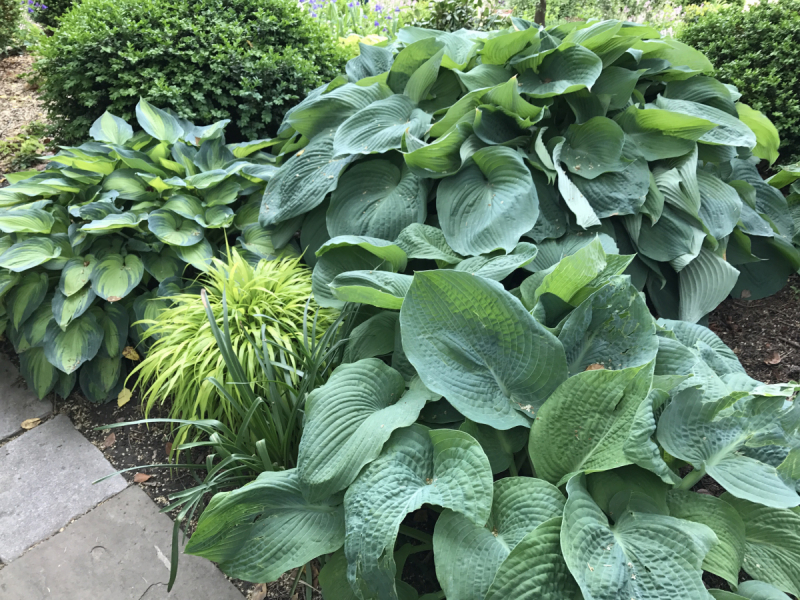 Большие города . Запад и Восток США