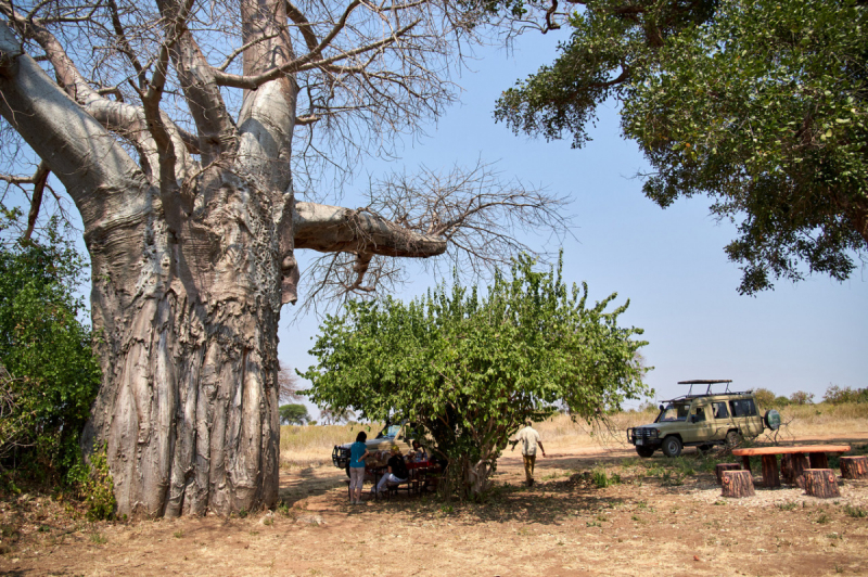 Танзания нац.парк RUAHA  Занзибар - Дайвинг. (фото)