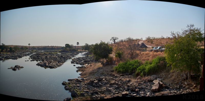 Танзания нац.парк RUAHA  Занзибар - Дайвинг. (фото)