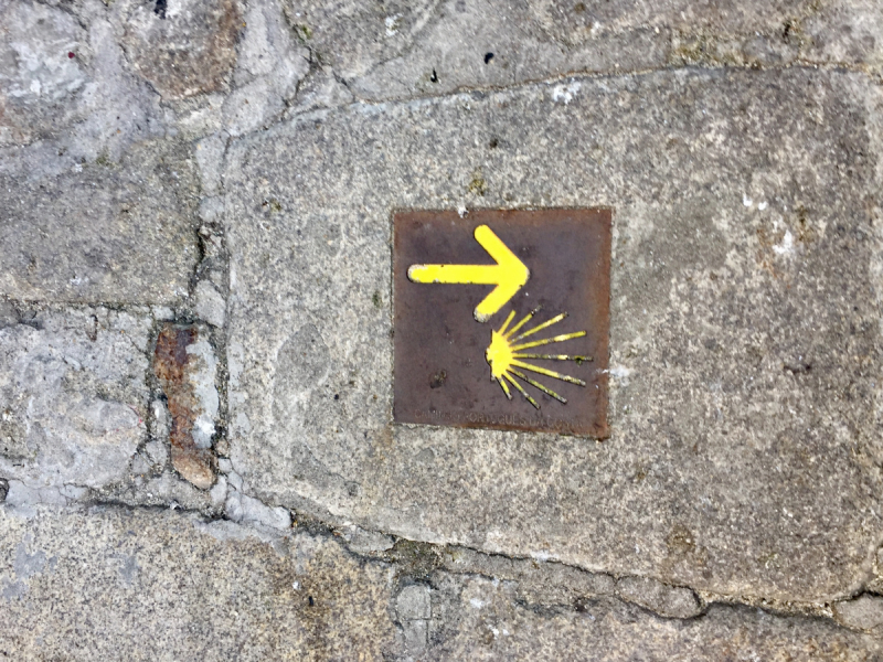 Круиз по Дору на Emerald Radiance и чуть-чуть северной Португалии, октябрь 2018